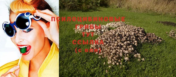 соль ск Арсеньев